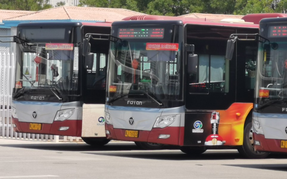 沧州公交pov207,沧州公交t31路高铁西站～动物园全程原速第一视角前方