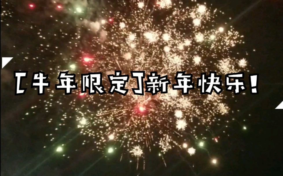 2021212牛年限定新年快乐期待美好如约而至78