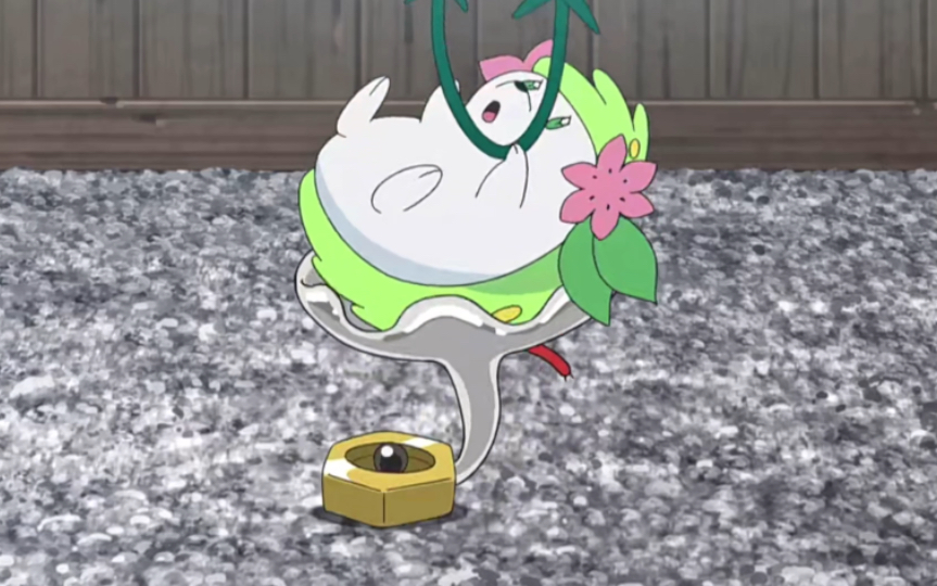 美录坦的新用法 1 三小只都很可爱呢