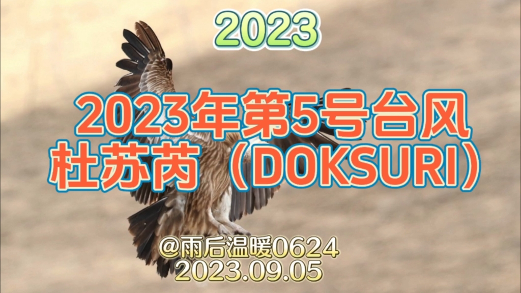 2023年第5号台风 杜苏芮(DOKSURI)哔哩哔哩bilibili