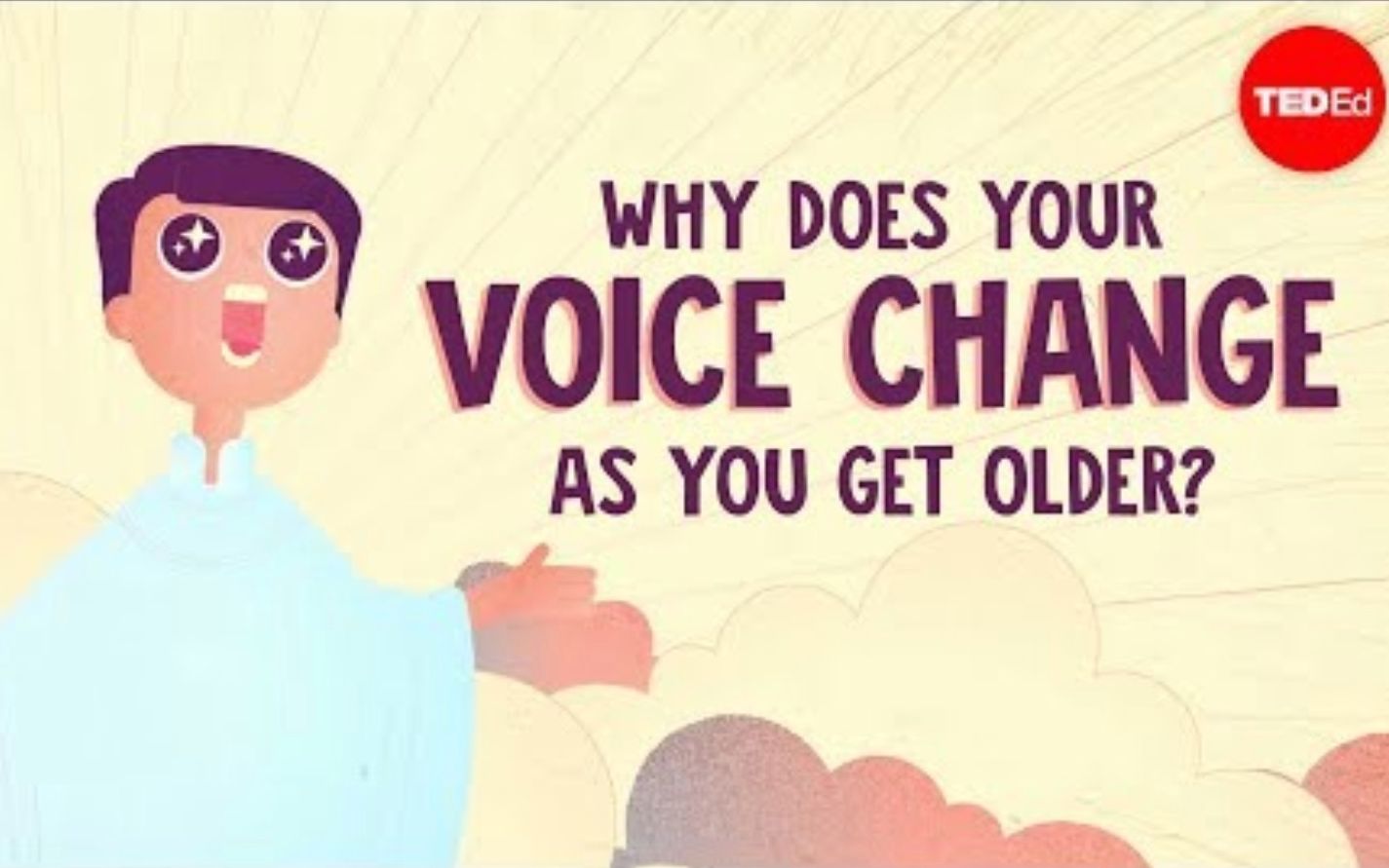 【TedED】为什么人的声音会随着年龄变化 Why Does Your Voice Change As You Get Older哔哩哔哩bilibili