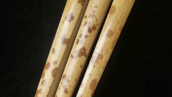 9.5寸福建老湘妃竹折扇