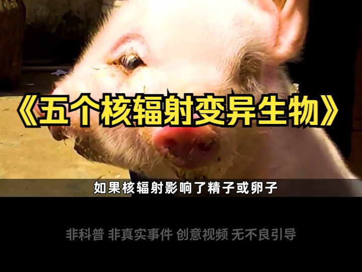 《五个核辐射变异生物》口播创意视频非科普!