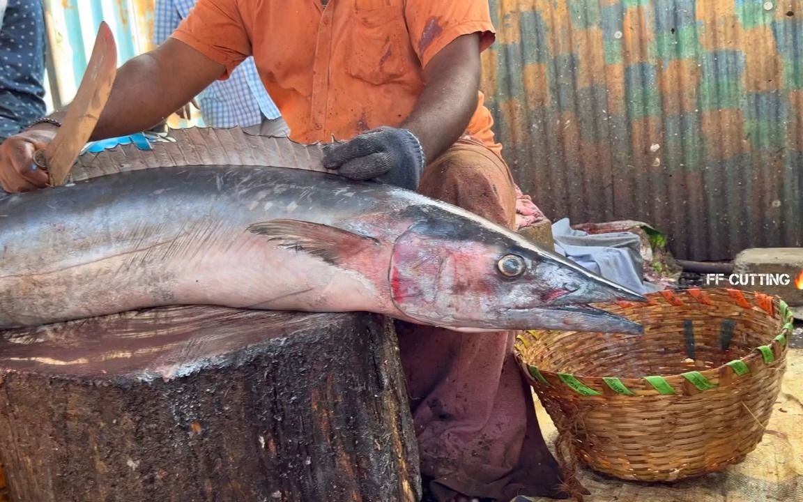 庖丁解魚:殺魚技巧 快速處理巨大的海魚 漁民