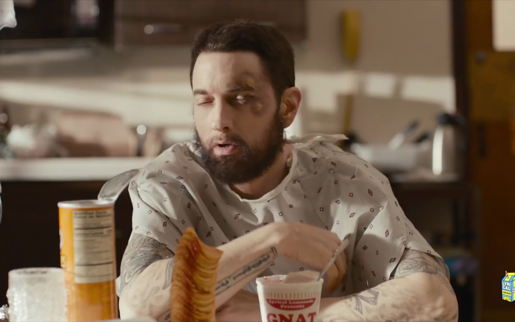 eminem - gnat 还是那个口无遮拦喷一切的姆爷!就是这个味儿!