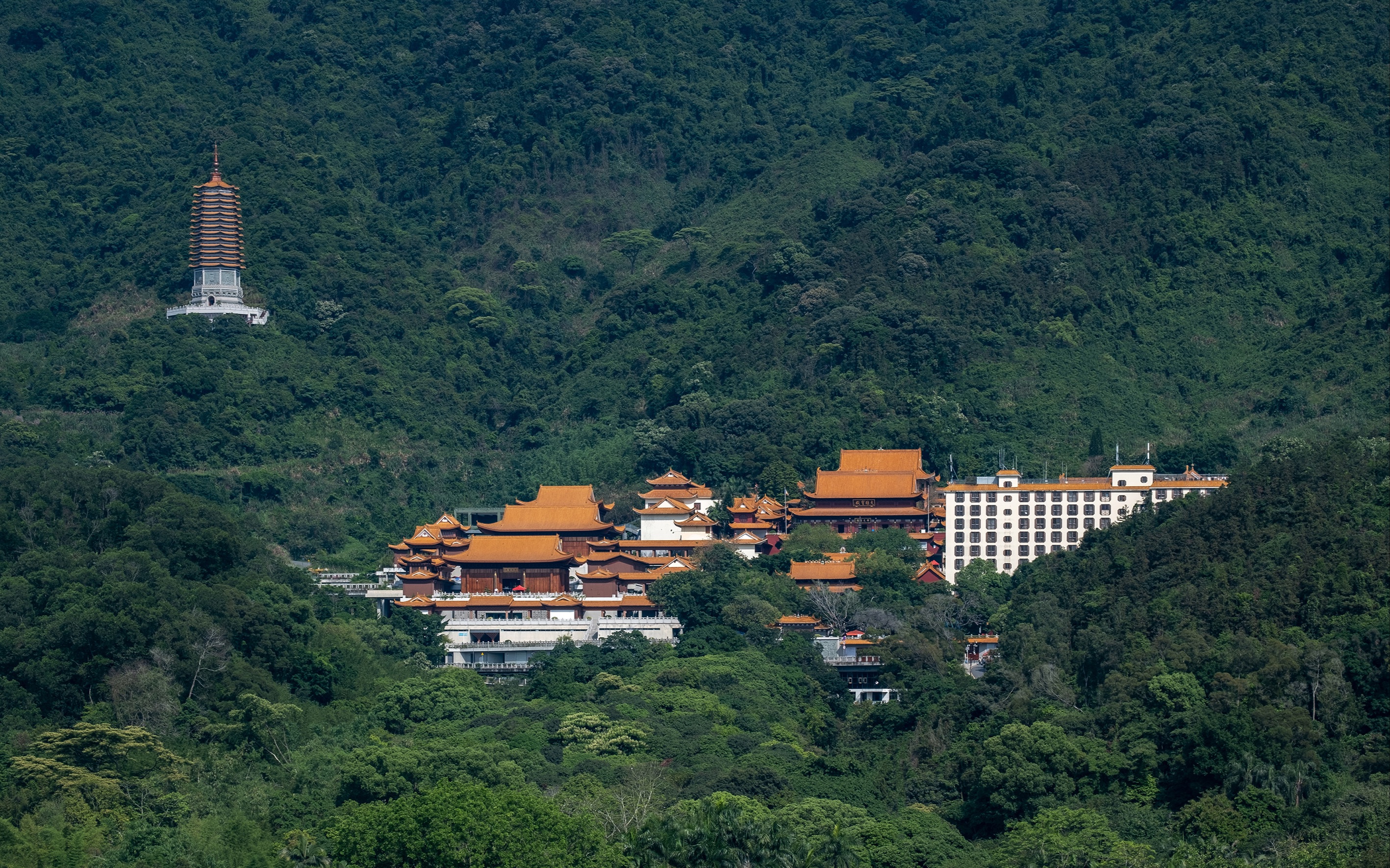 深圳市罗湖区旅游景点图片