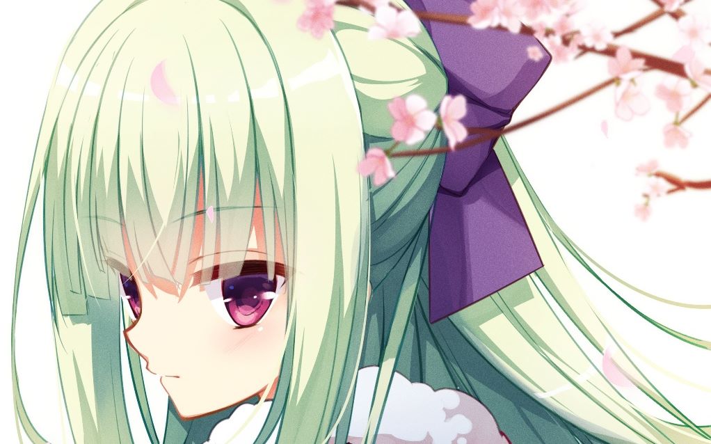 小丛雨全景测试