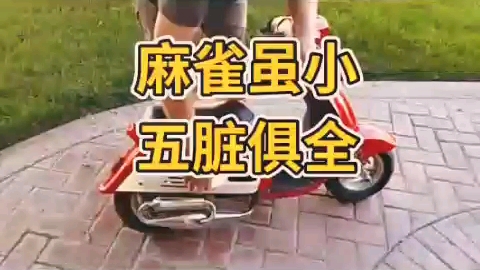 超迷你摩托,麻雀虽小 五脏俱全哔哩哔哩bilibili