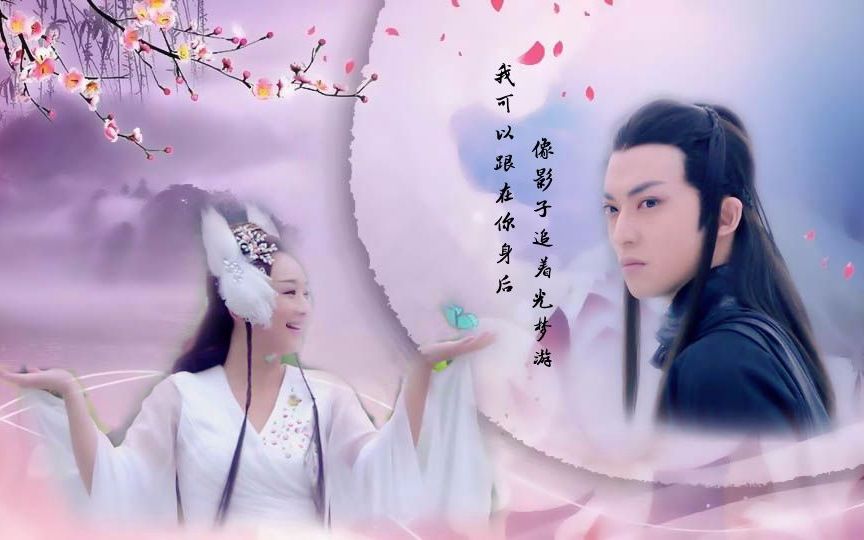 灵灵九夜犬追光者