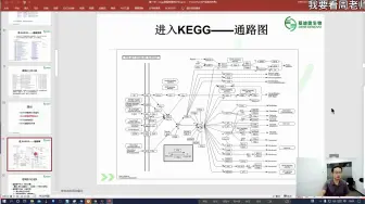 Download Video: KEGG通路分析