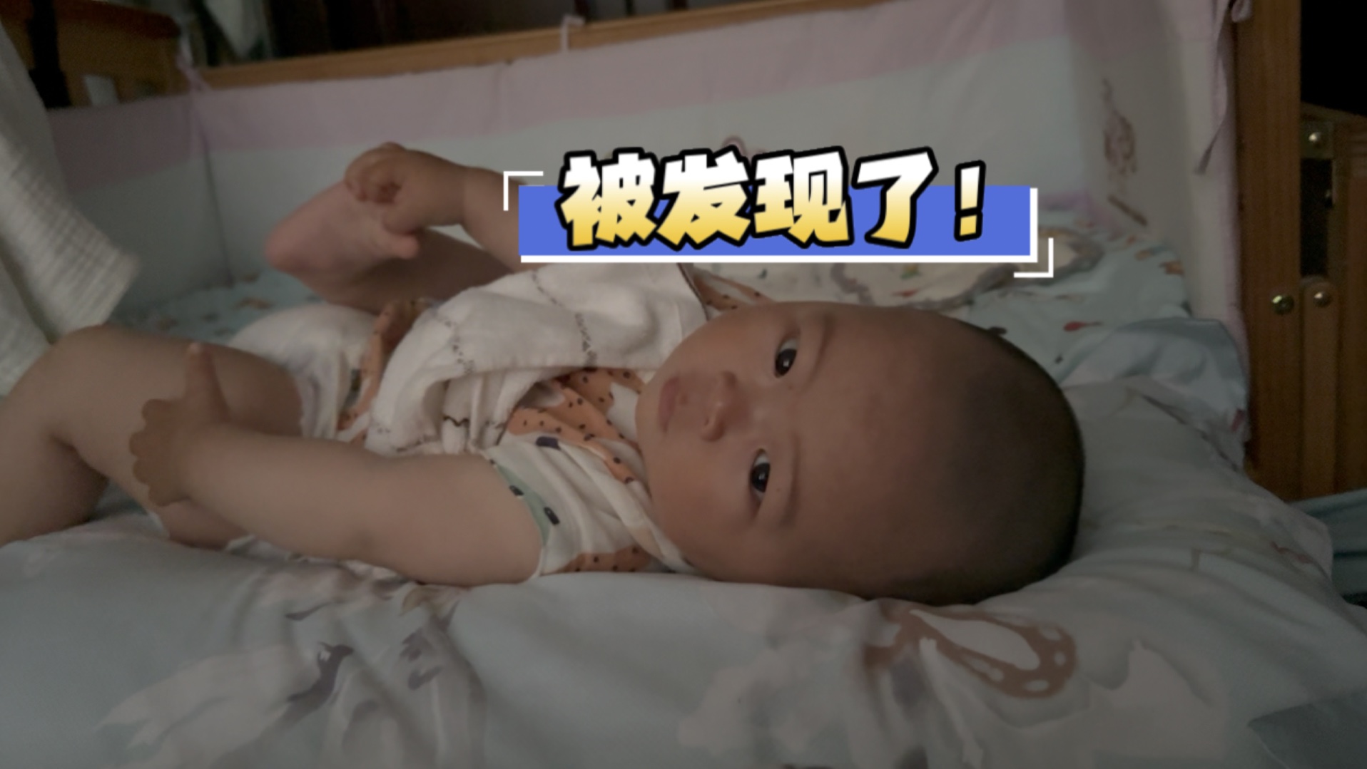 【新手奶爸带娃记.day231】小安迪偷偷干坏事,还以为我不知道