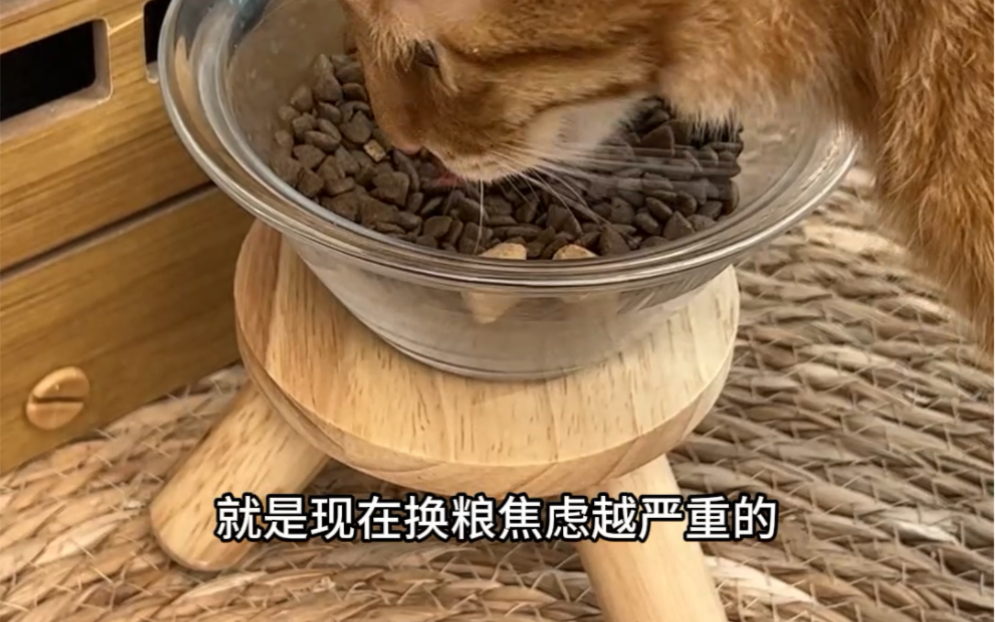 [图]一次性解读猫粮的12种肉源，换粮不焦虑