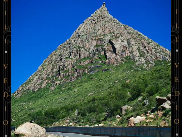 天气给力,进了莲宝叶则