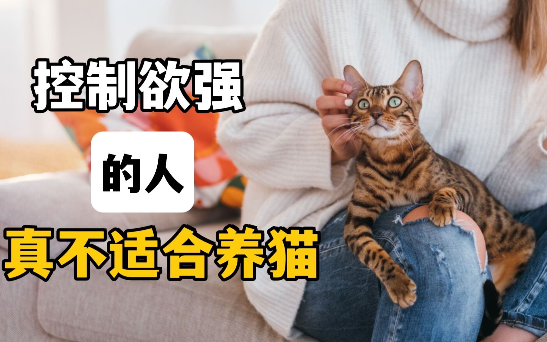 [图]控制欲太强的人，真不适合养猫