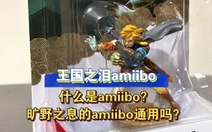 【王国之泪】amiibo科普