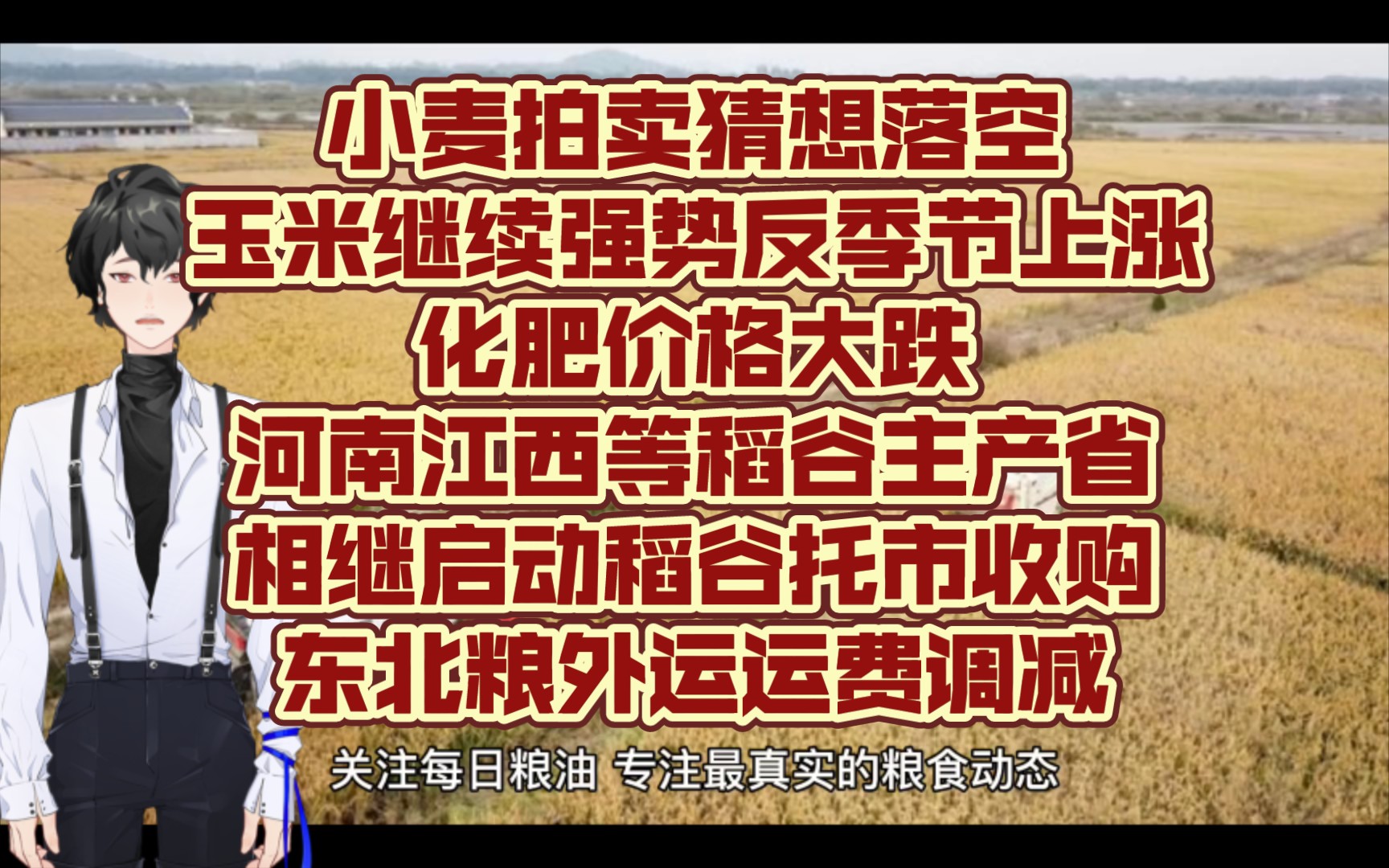 小麦拍卖猜想落空玉米继续强势反季节上涨,化肥价格大跌;河南江西等稻谷主产省相继启动稻谷托市收购,东北粮外运运费调减哔哩哔哩bilibili