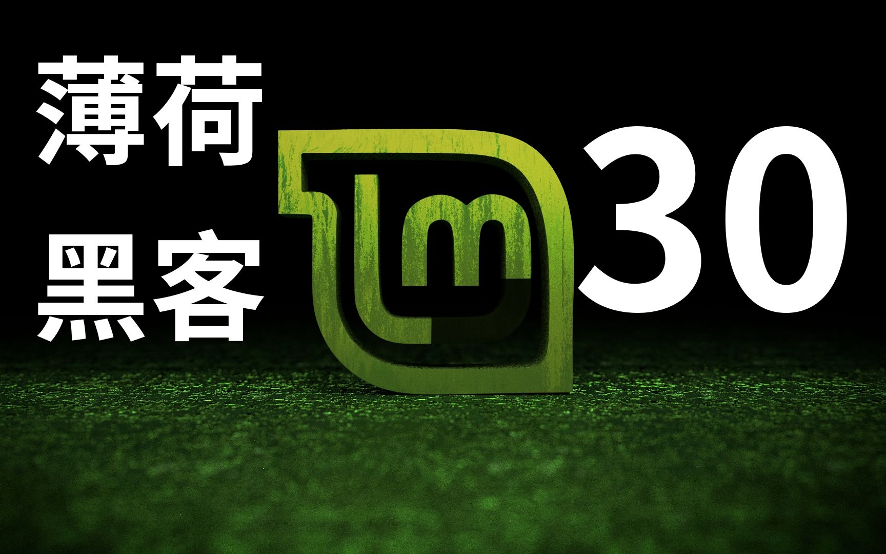 【linux mint/野生技术协会】薄荷黑客第30期:LInux Mint 的版本升级哔哩哔哩bilibili