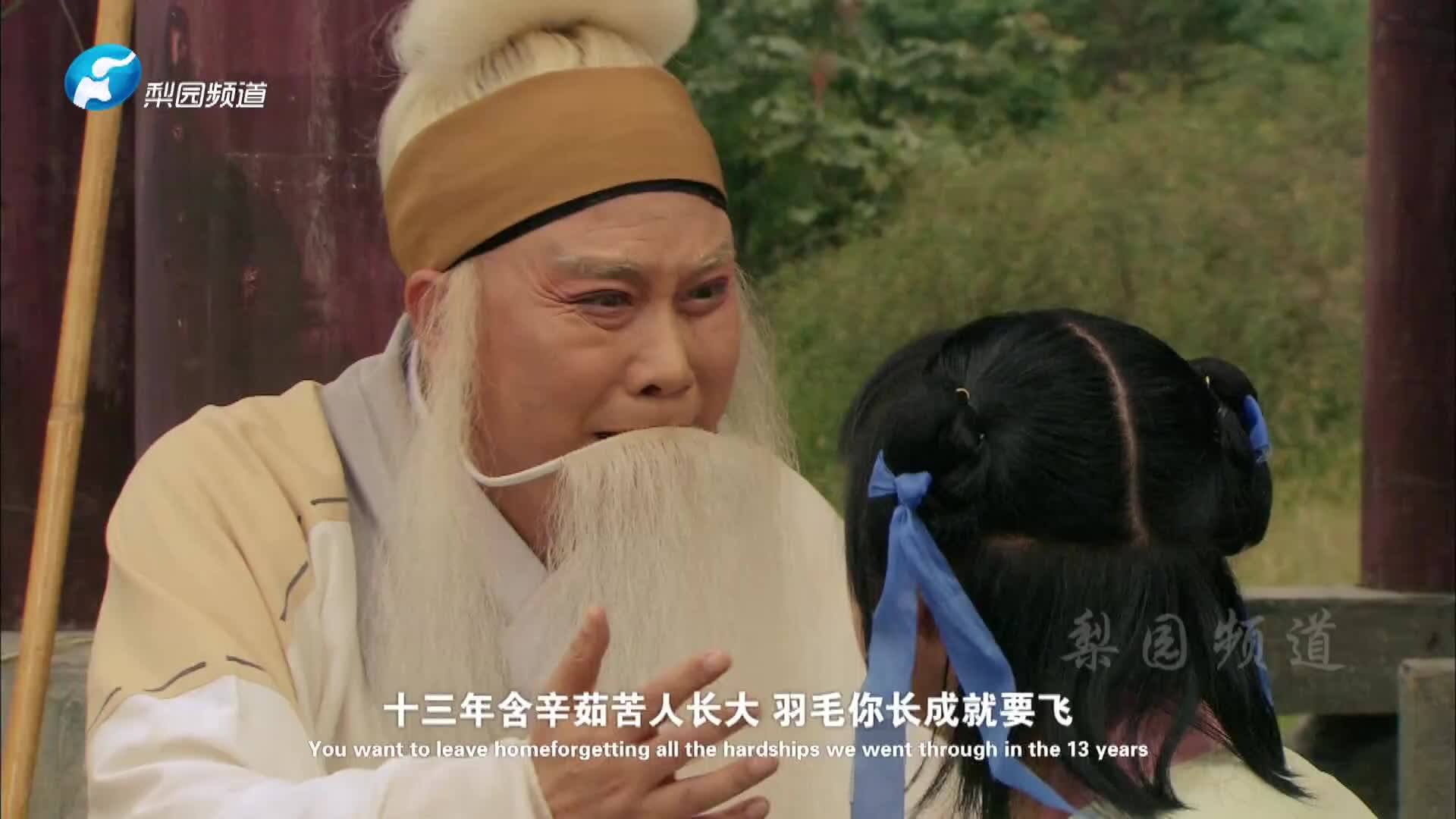 豫剧 | 李树建主演豫剧《清风亭》选段8.1奴才全将良心昧哔哩哔哩bilibili