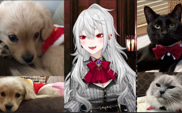 【sanya】【葛叶】对可爱小动物毫无抵抗力的sanya小姐