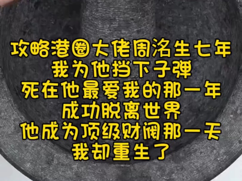 攻略港圈大佬周洺生七年 我为他挡下子弹 死在他最爱我的那一年 成功脱离世界 他成为顶级财阀那一天 我却重生了哔哩哔哩bilibili