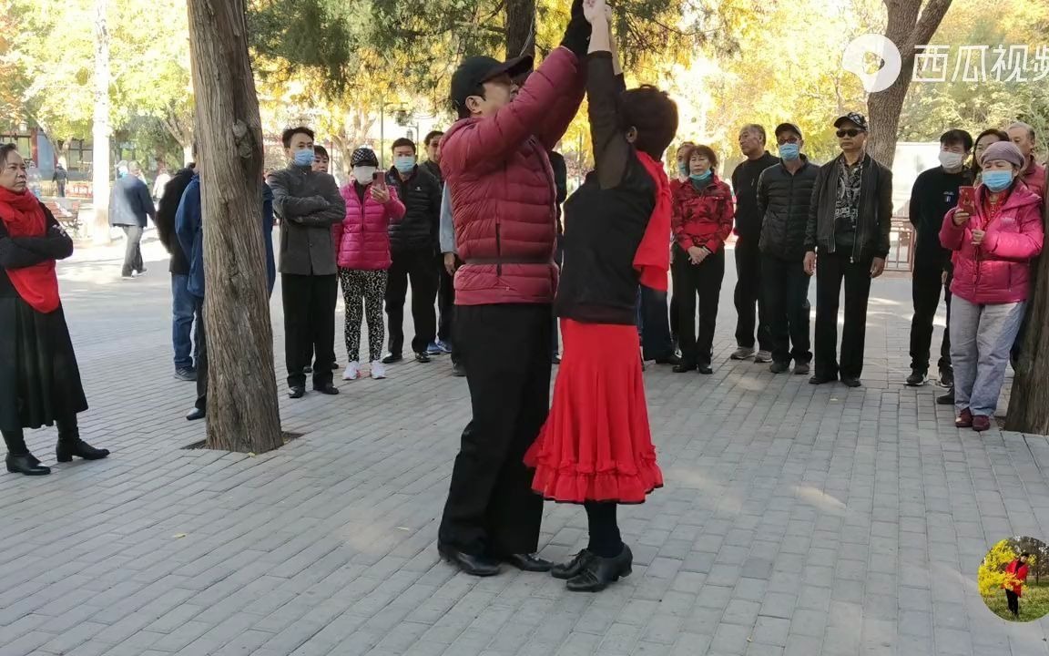 [图]双人交谊舞，休闲快三《第五节》分解教学