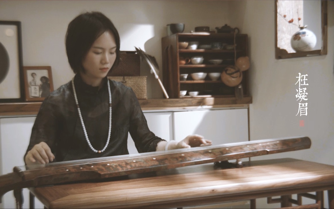 古琴枉凝眉红楼梦主题曲蔡珊演奏