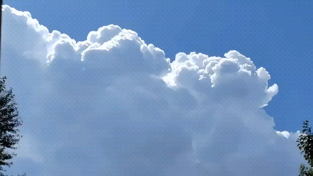 【胡圝郜郜】我的最新作品,快来一睹为快!