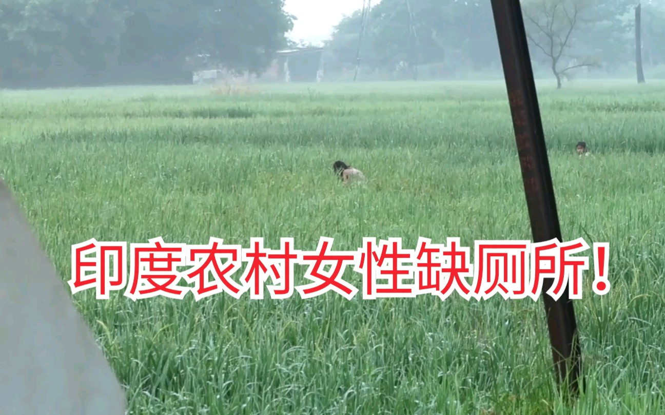 印度农村真实情况,印度女性急需厕所!她们只能早上去田里如厕