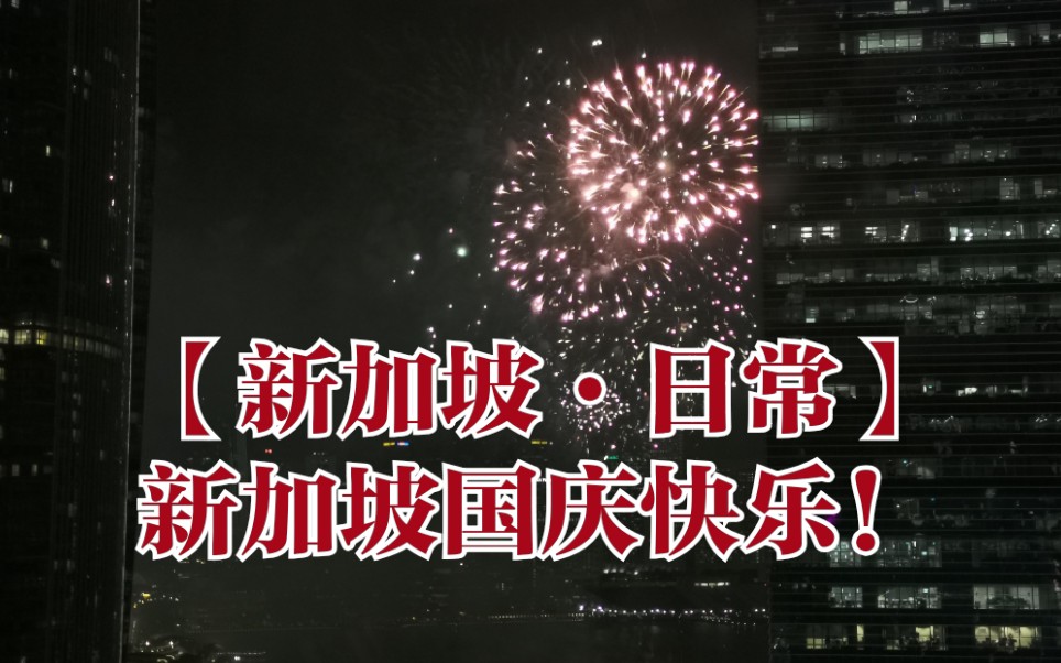 【新加坡·日常】新加坡国庆快乐!
