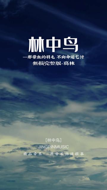 这首歌是由高进作词、作曲,葛林演唱的歌曲,发行于2016年9月8日.收录于同名专辑《林中鸟》中.该歌曲调高昂,是首非常励志的歌曲,入选 2017酷狗...