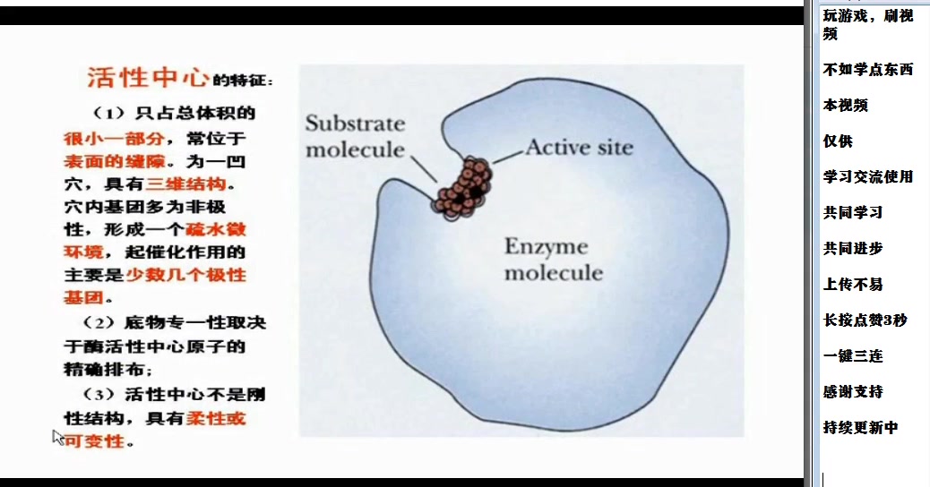 酶结构与功能的关系哔哩哔哩bilibili