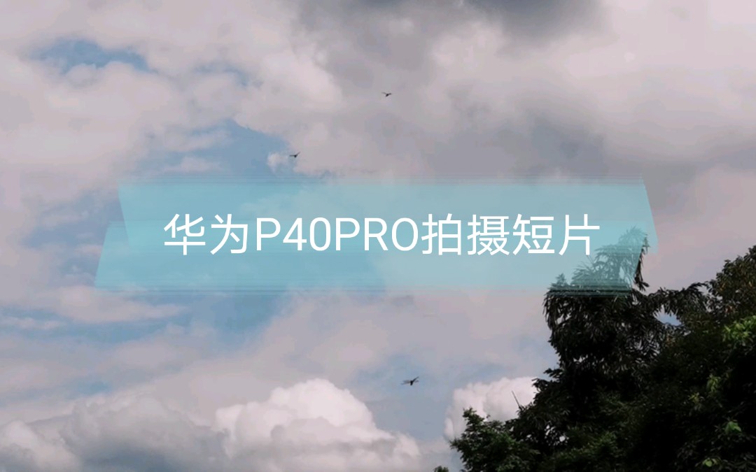 华为p40pro拍摄慢动作微距和长焦视频