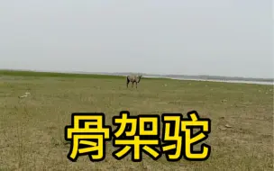 Télécharger la video: 心软是种病