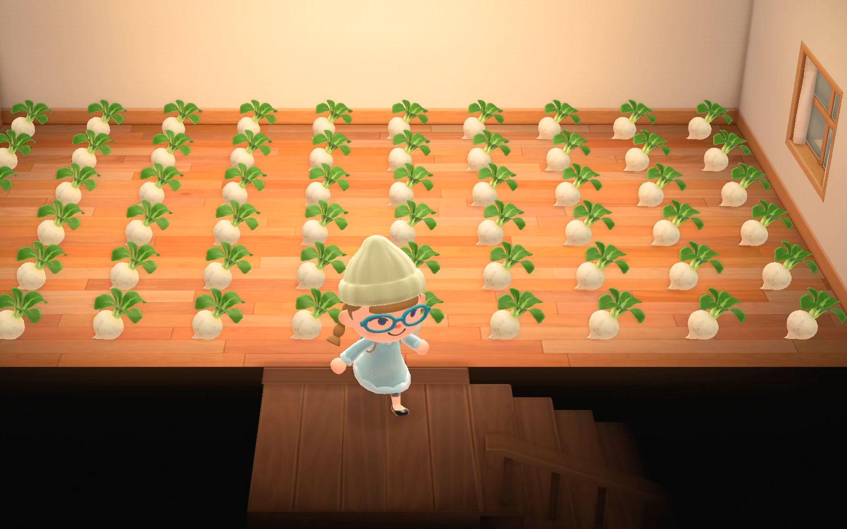 动物森友会】-31 花了一百多万巨款梭哈大头菜