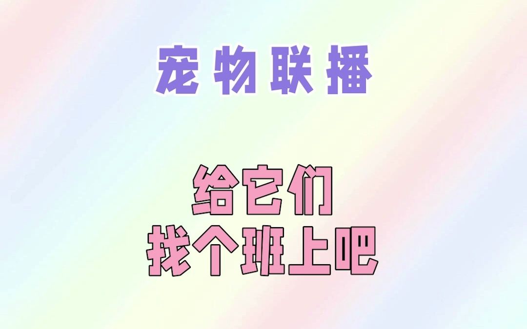 给它们找个班上吧