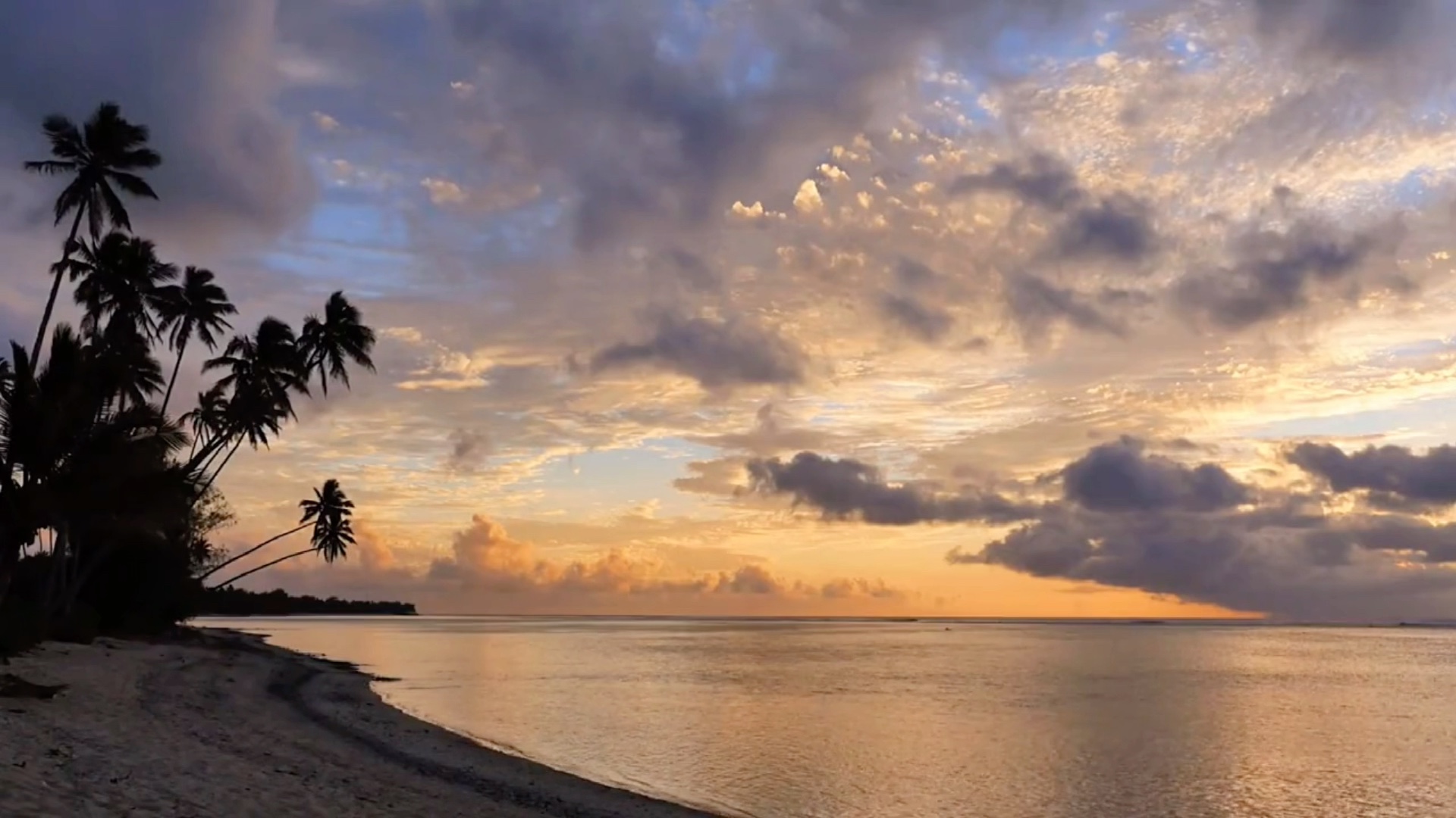 分享两段非常放松的风景视频_哔哩哔哩_bilibili