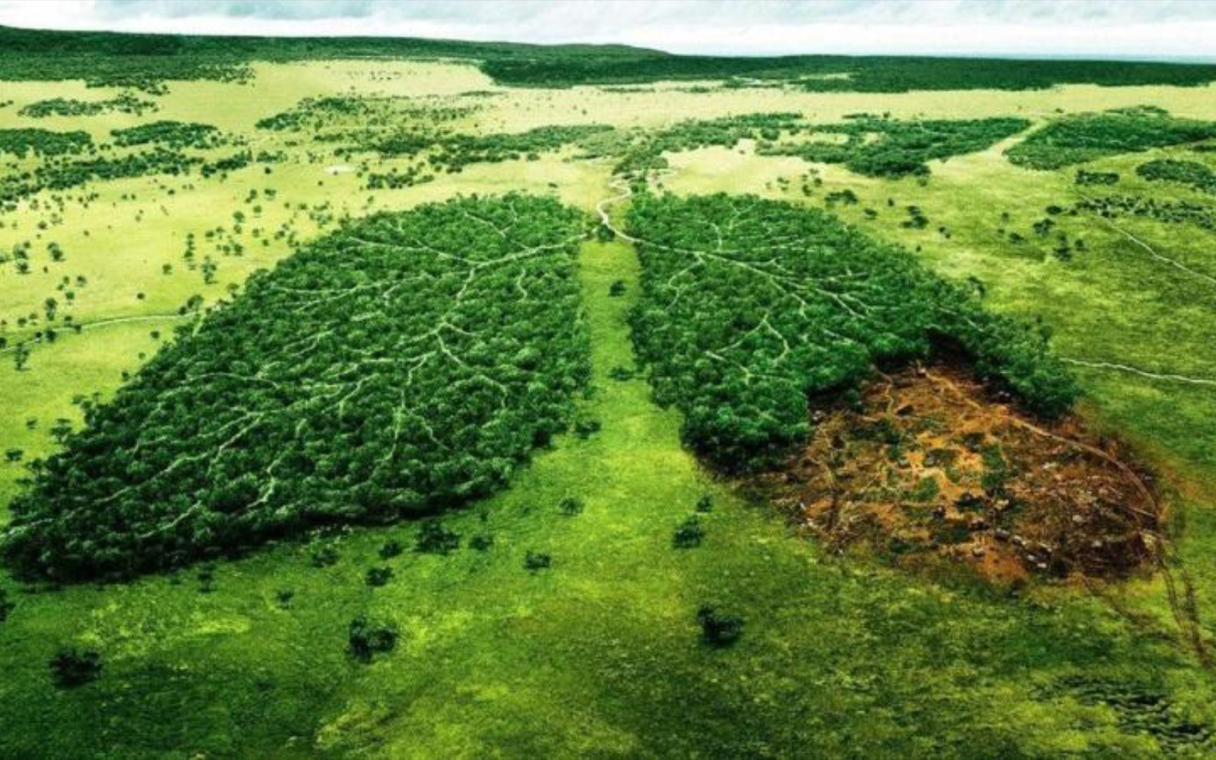 6月5日世界环境保护日.