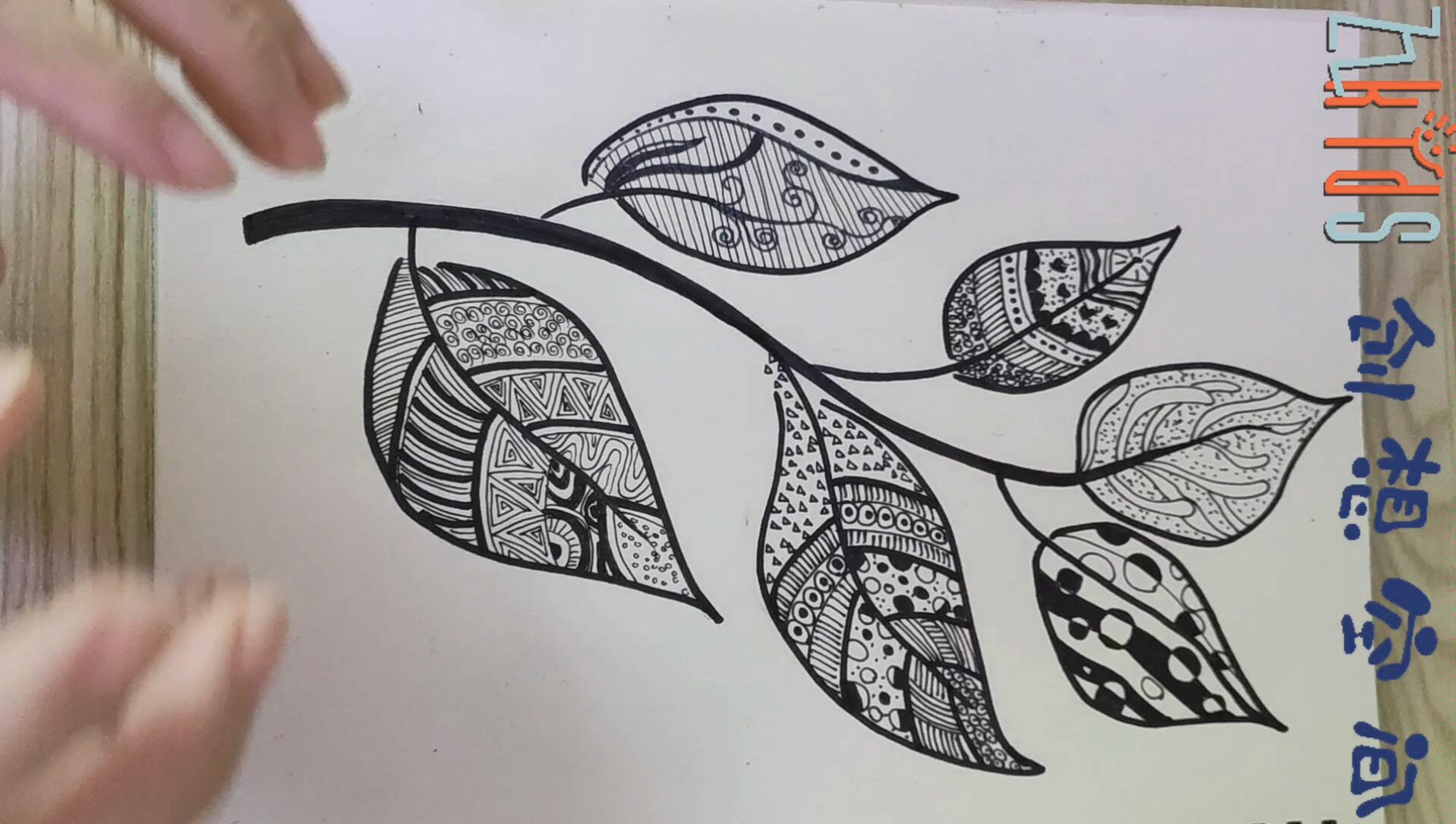 儿童画树叶线条创意画图片