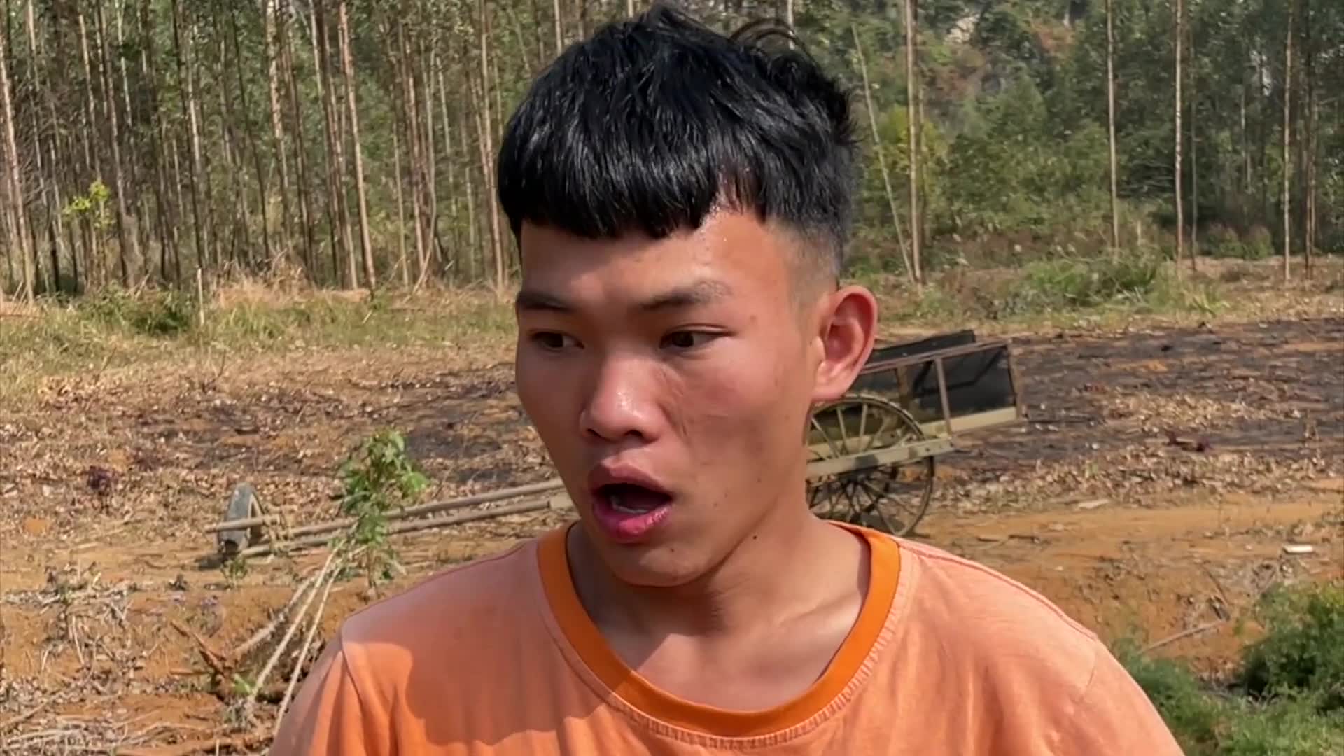农村搞笑小伙用这个方法骗一帮人来拔木薯最后一群人追他