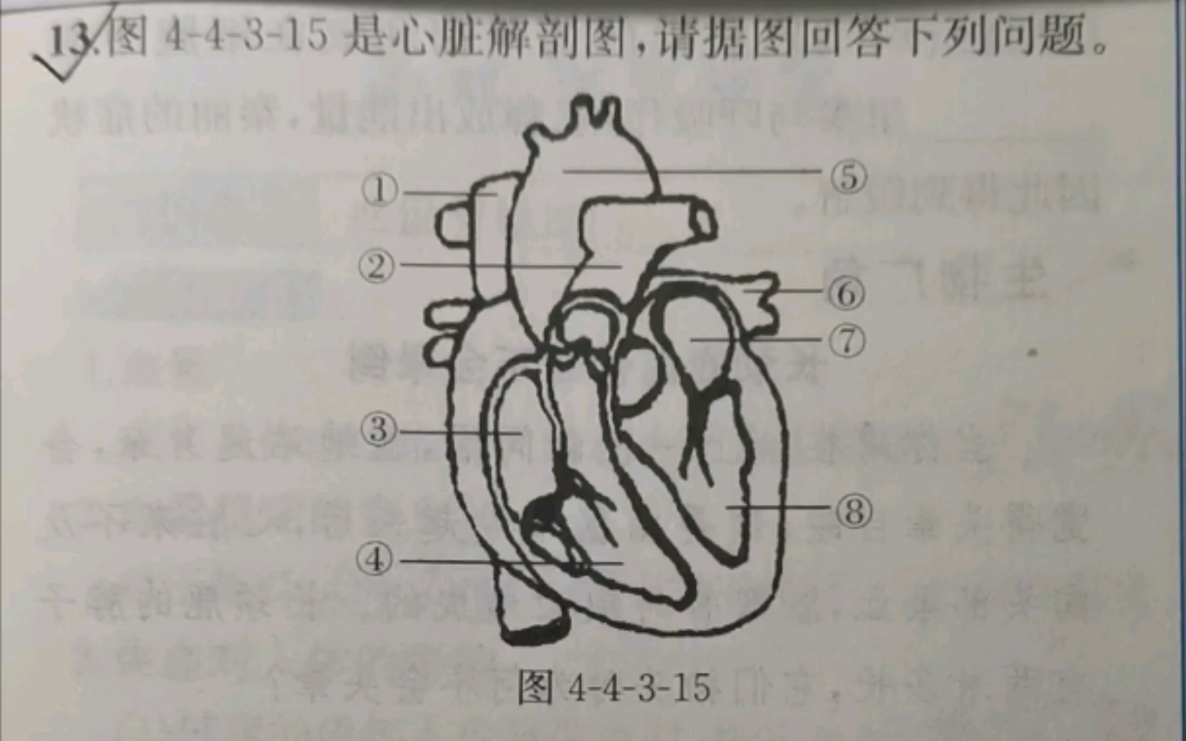 初中生物中考会考专项训练——心脏 血液循环图 知识巧记哔哩哔哩bilibili