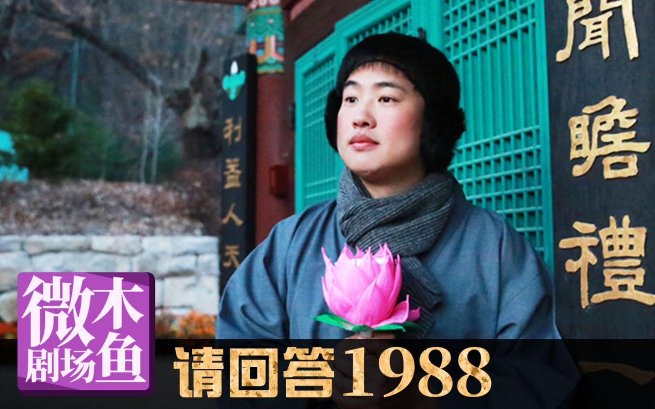 【木鱼微剧场】最好的韩剧《请回答1988》：喜欢一个人的理由（8~9）