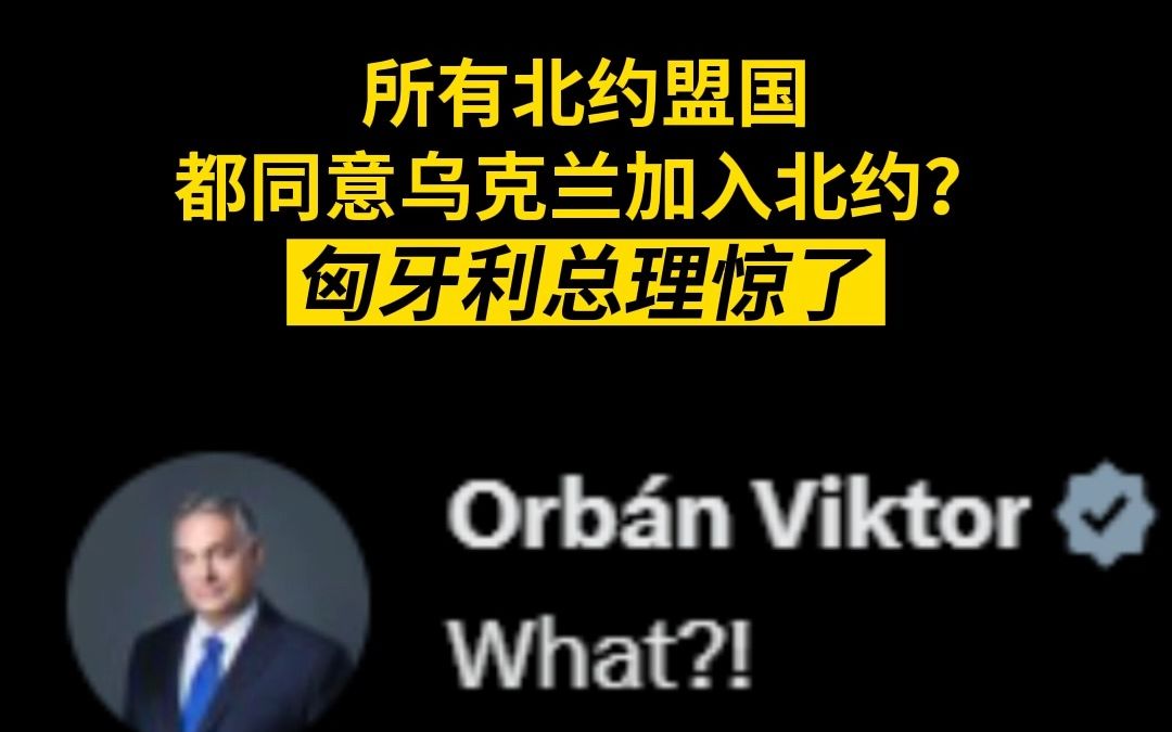 所有北约盟国都同意乌克兰加入北约?匈牙利总理惊了哔哩哔哩bilibili