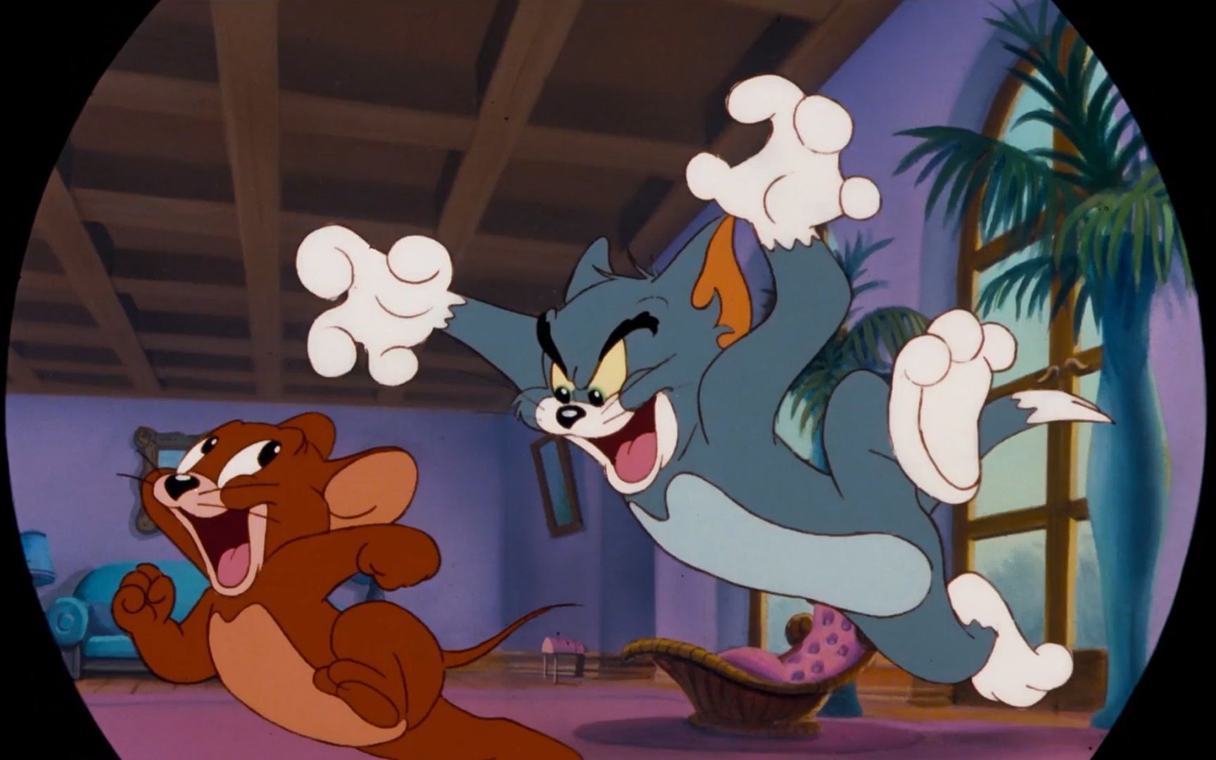 【ng】来介绍一部猫咪老鼠谈恋爱的经典动画《猫和老鼠1992电影版 tom
