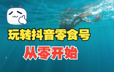 从0开始带你玩转抖音零食号,41节详细视频,送给初学者参考哔哩哔哩bilibili