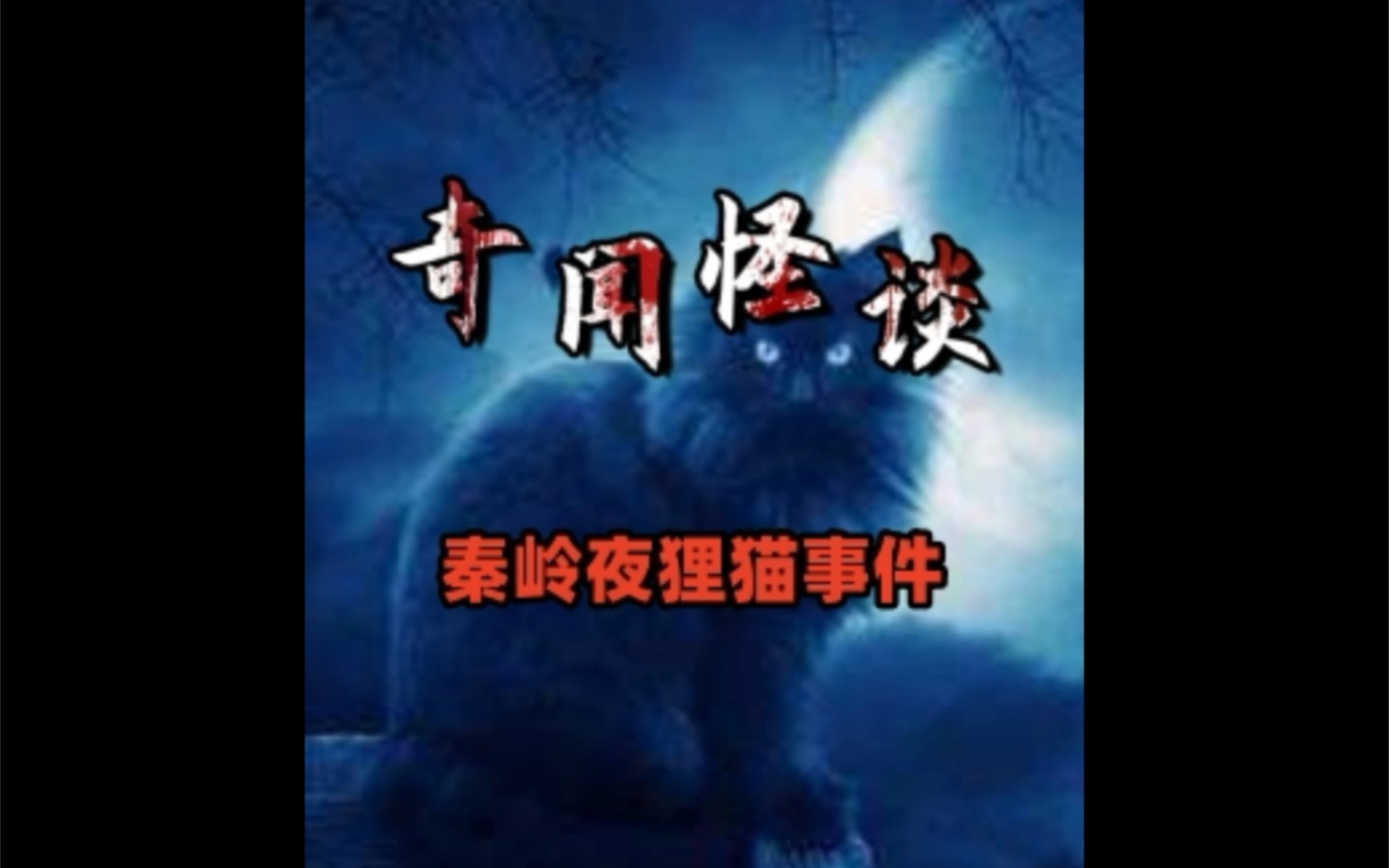 秦岭夜狸猫事件究竟有多诡异哔哩哔哩bilibili