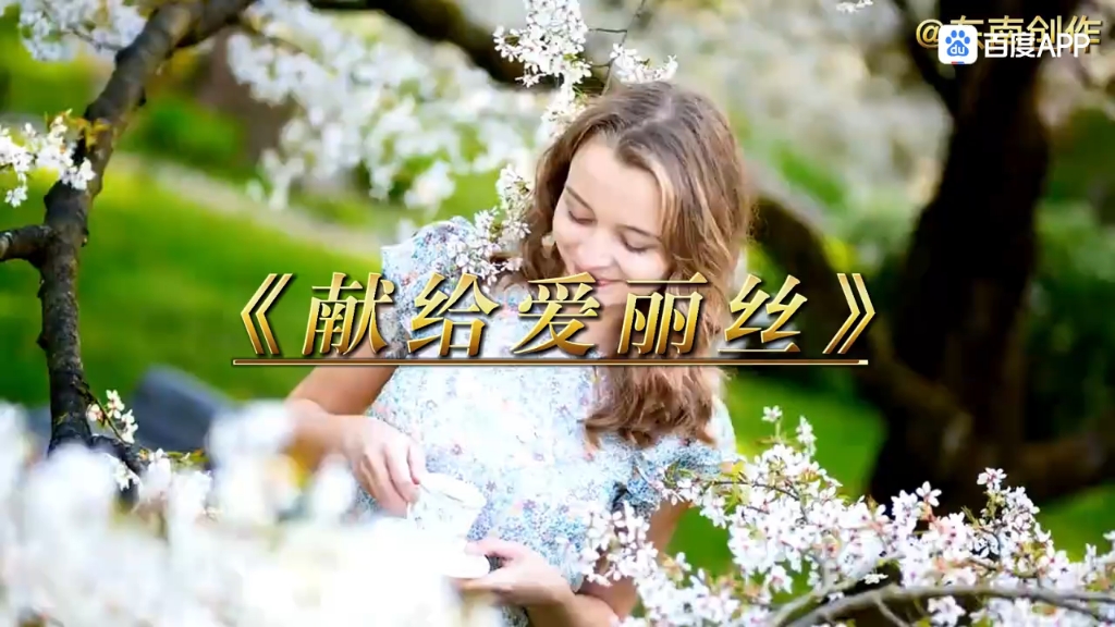 《献给爱丽丝》