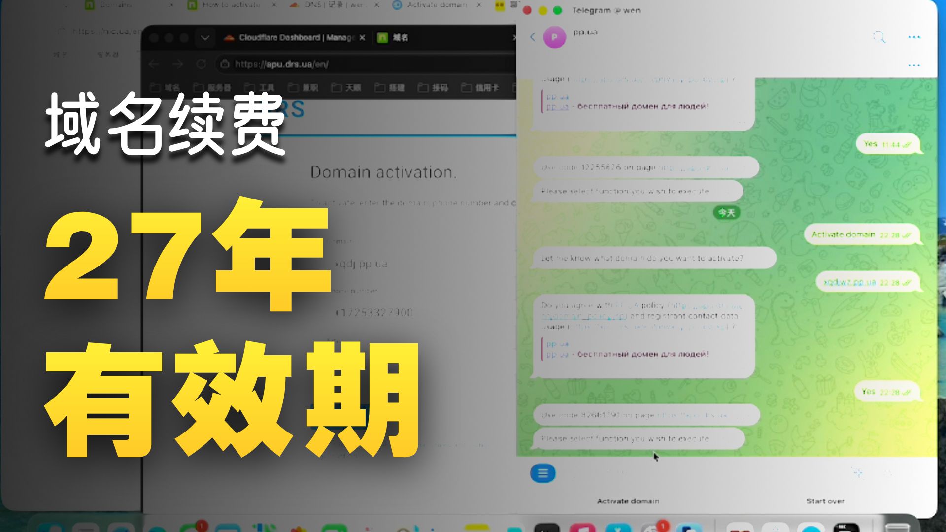 一口气续约20个ppua永久域名 支持托管cloudflare