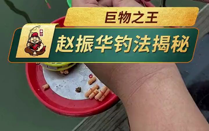 [图]49斤大青，本汀隼杯渔猎巨物挑战赛大师钓法揭秘