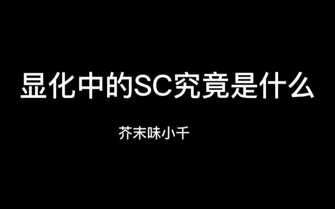 显化中的sc究竟是什么哔哩哔哩bilibili