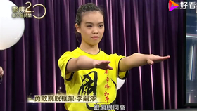 搬运 李凤山师傅 平甩功養生法 哔哩哔哩 つロ干杯 Bilibili